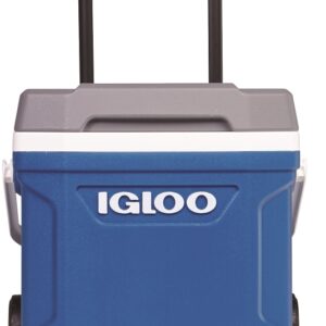 Igloo