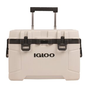 Igloo