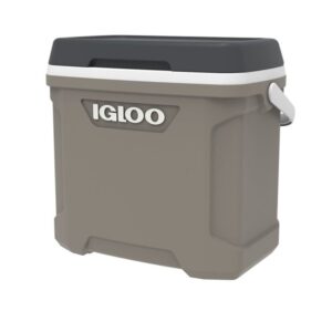 Igloo