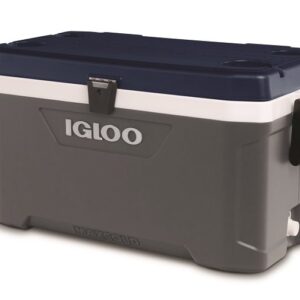 Igloo