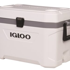 Igloo