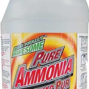 LA's TOTALLY AWESOME